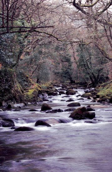 River Dart