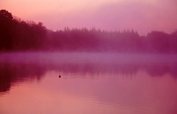 Morning mist at Stover, Devon